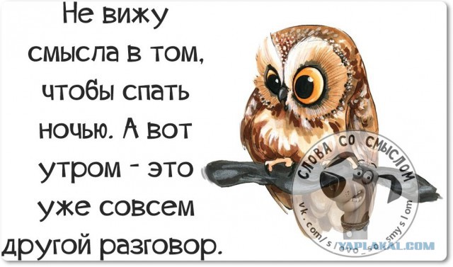 Веселые жизненные наблюдения из Вредного журнала
