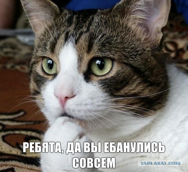 Скандал с акушерами