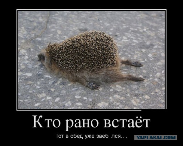 Картинки