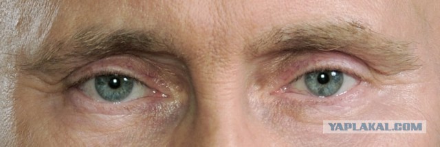 Ай, какие молодцы ФСБ!