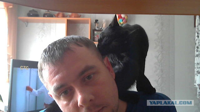 Тут такое дело