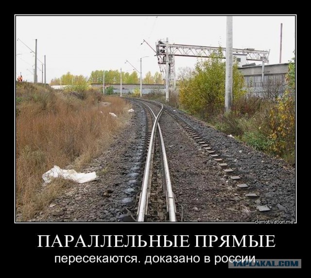 "Ну наконец-то здравая петиция!"