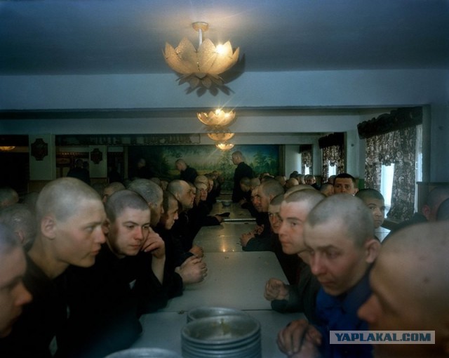Карл де Кейзер. «Зона» / Zona (2000—2001)