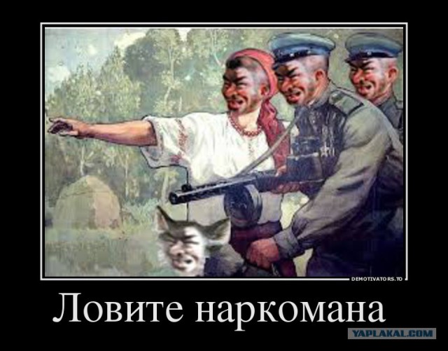 Глаза видят, но мозг воспринимает с трудом.