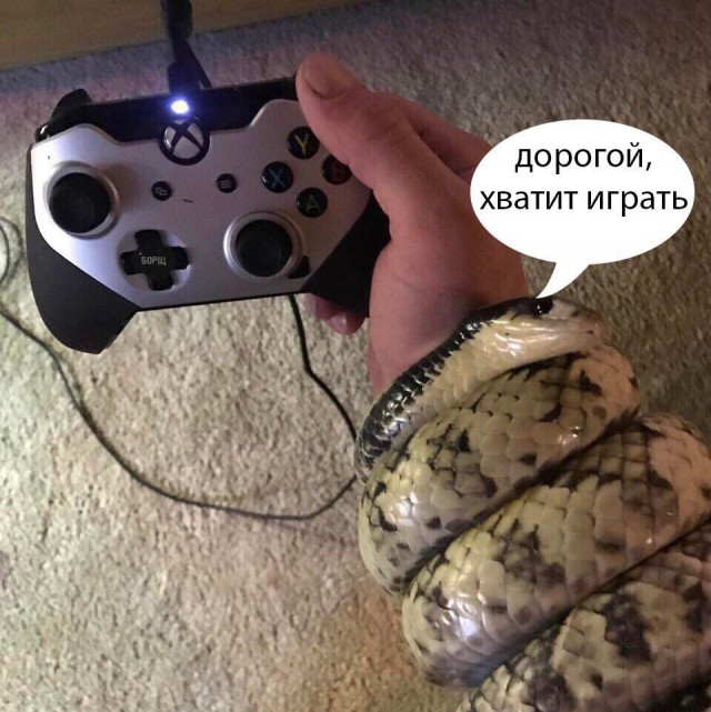 Подборка интересных и веселых картинок
