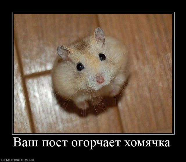 Жил у меня хомяк