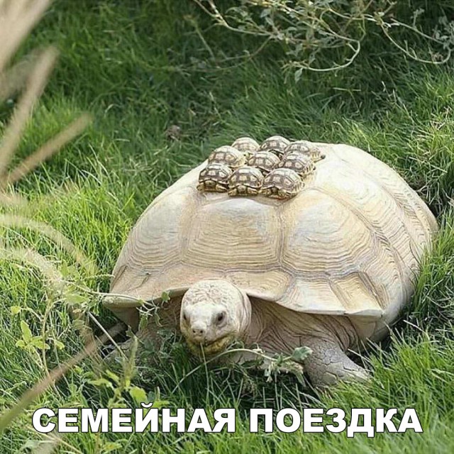 Нестандартный юмор