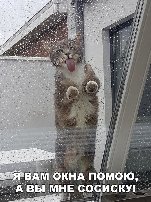 Нестандартный юмор