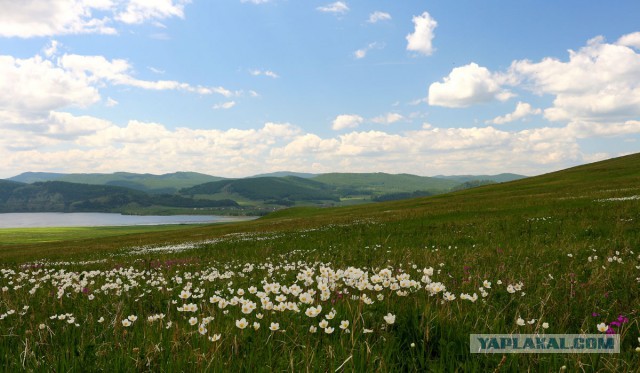 В краю голубых озёр
