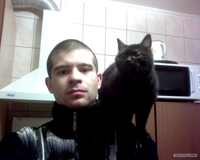 Котовторник: начало