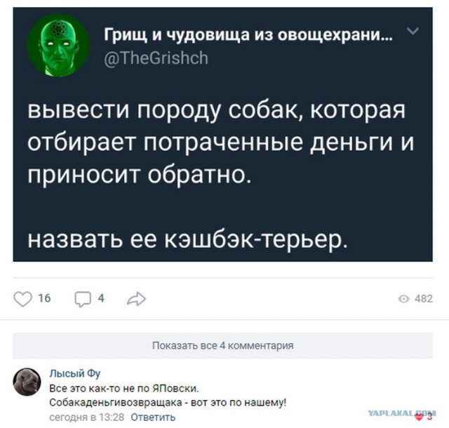 Смешные комментарии из социальных сетей 12.10.2018