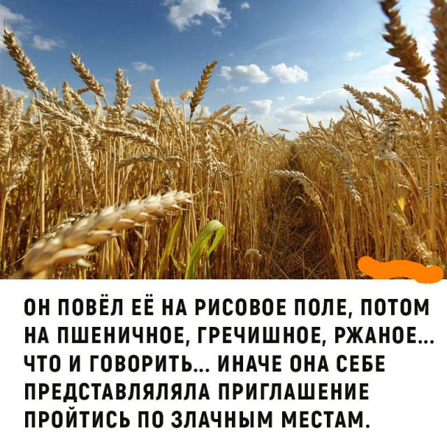 Нестандартный юмор