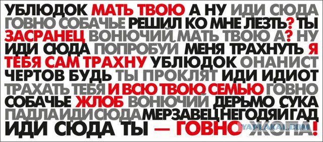 Я не уверен, но мне кажется, что кот ОЧЕНЬ сильно ругается