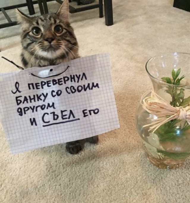 Подборка интересных и веселых картинок 23.05.19
