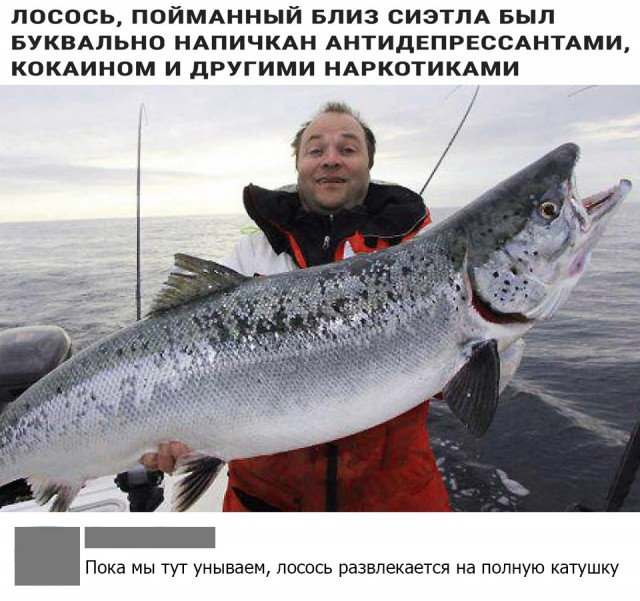Чуток картинок 2