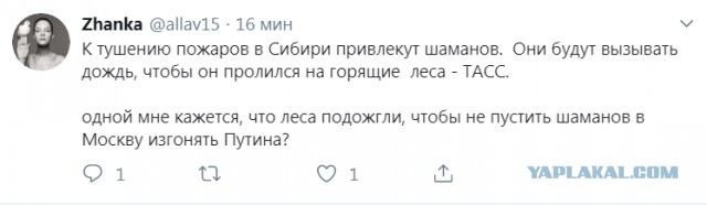 Прикольные комментарии и высказывания из Сети