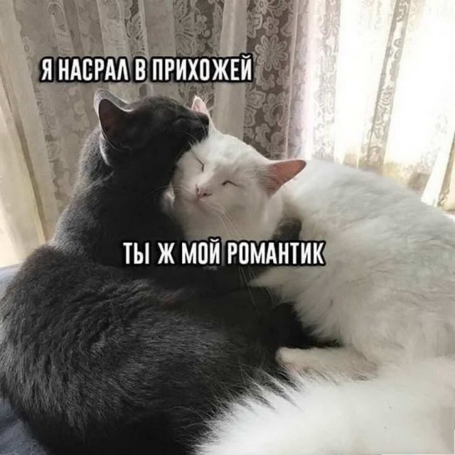Бредзона 03.02.2020