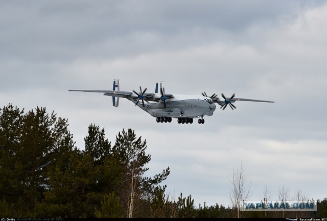Cамый большой в мире турбовинтовой самолёт - Ан-22 "Антей" | Тверь, Мигалово