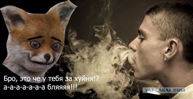 Таксидермия + наркомания