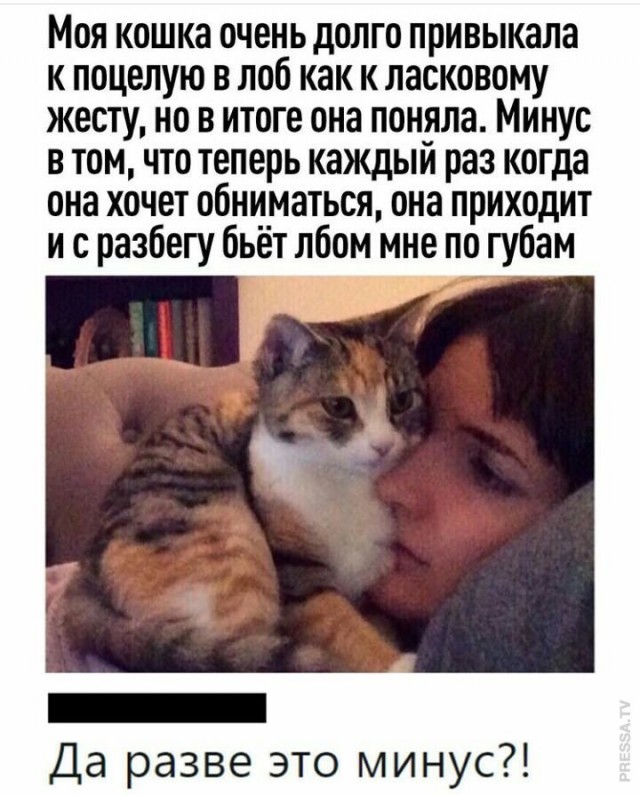 Картинки и мемы для настроения 012