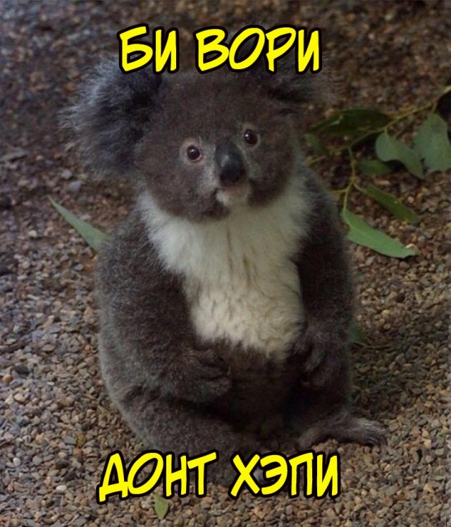Весёлый полтишок 18.02