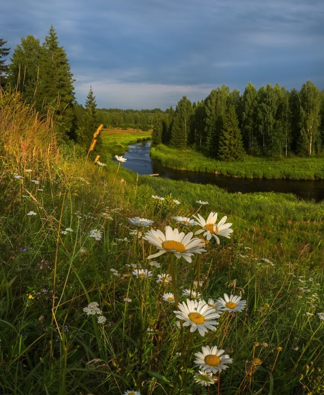 Разные картинки, в основном атмосферные