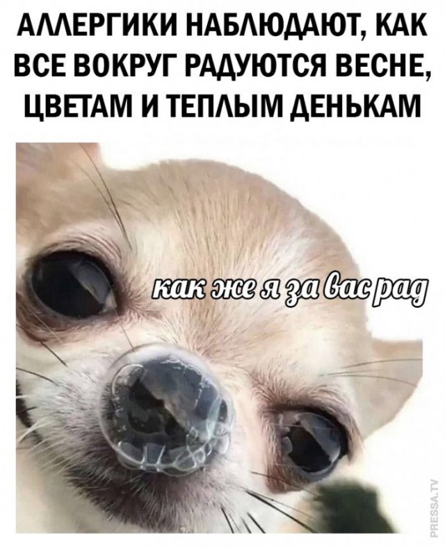 Картинки и мемы для настроения 005