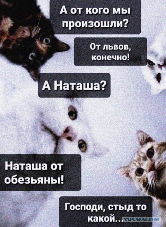 Картинки с надписями и всякие жизненные фразы 27.06.21