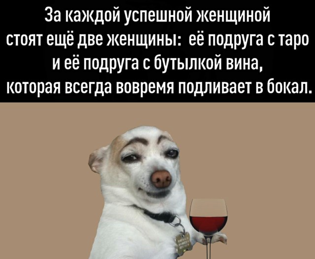 Бредзона 28.06.21