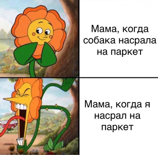 Весёлый полтишок 16.07