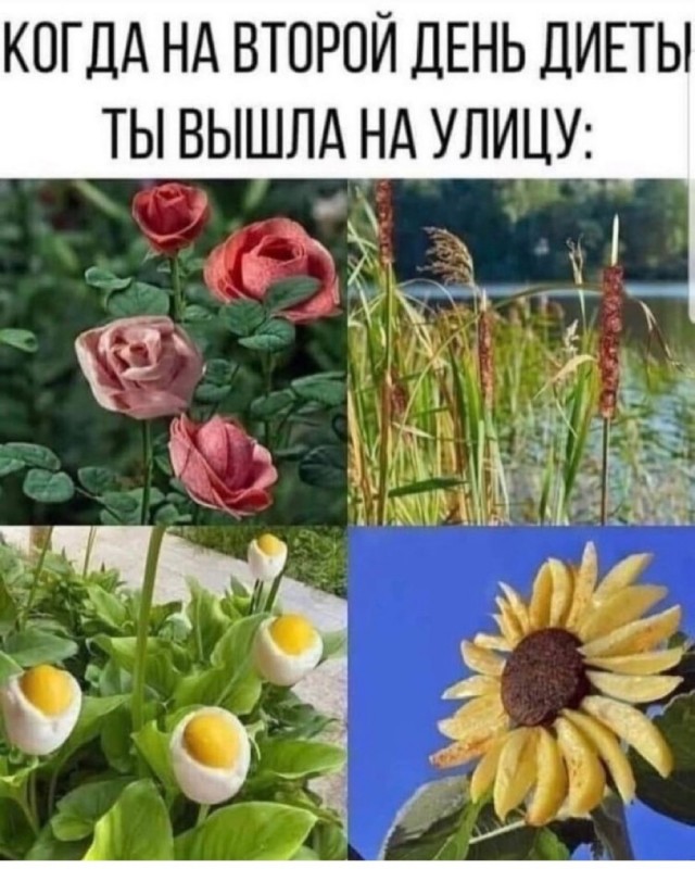 Так себе картинки 10.08.21