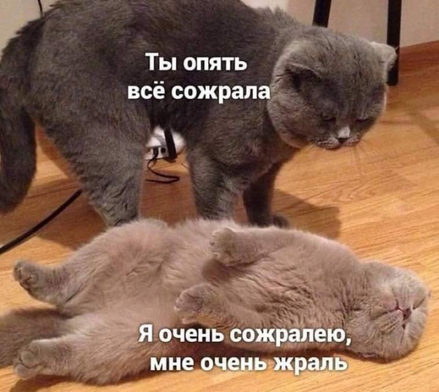 Всяческие картинки 02.11.2021