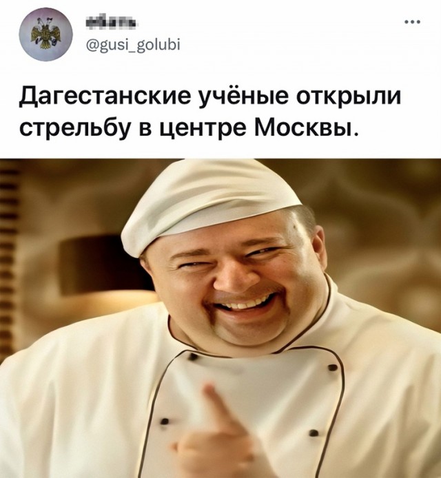 Весёлый полтишок 14.11