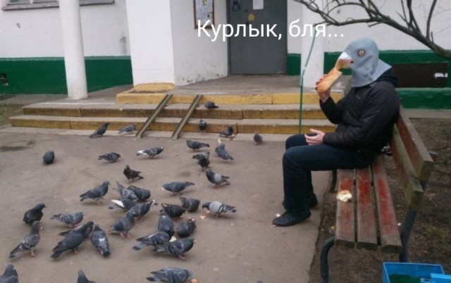 Чудики из социальных сетей 18.12.21