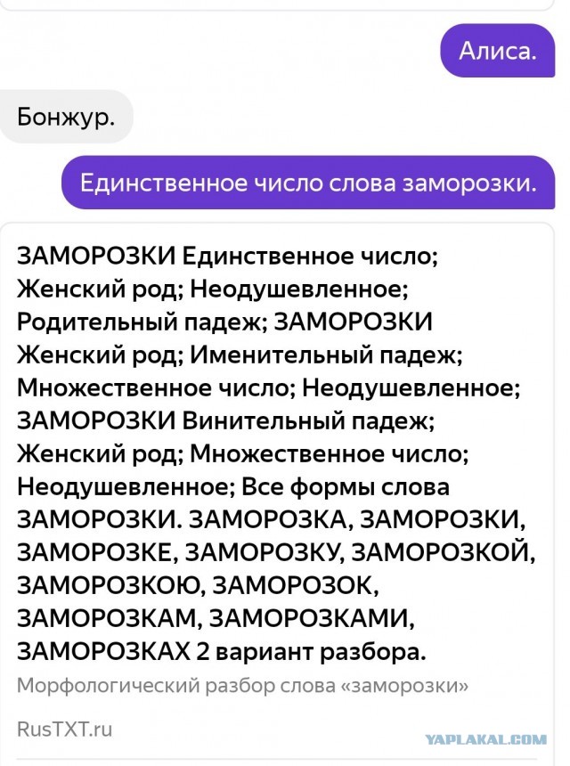 Ставни в единственном числе читай. Ставни в единственном числе читай