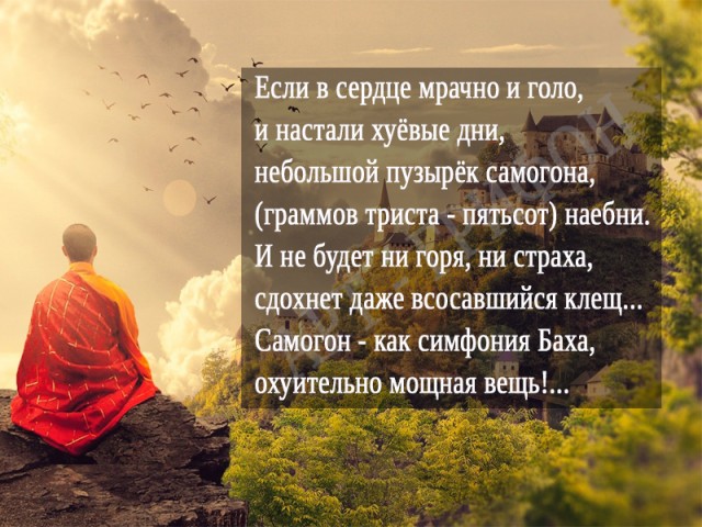 Heпьющим пocвящaeтcя