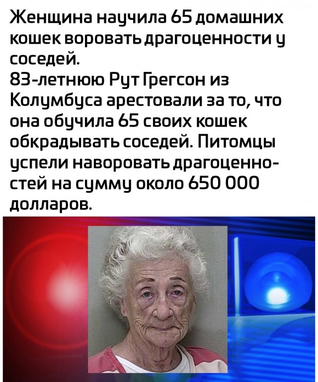 Так себе картинки 24.03.22