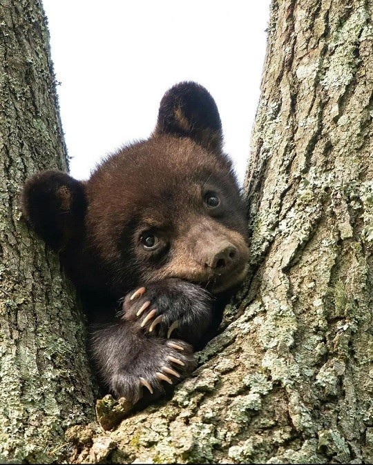 40 картинок разных 04.04.2022