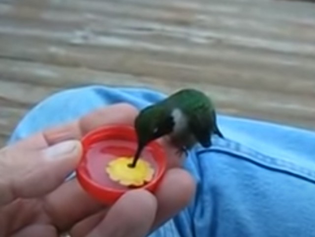 70 удивительных фактов