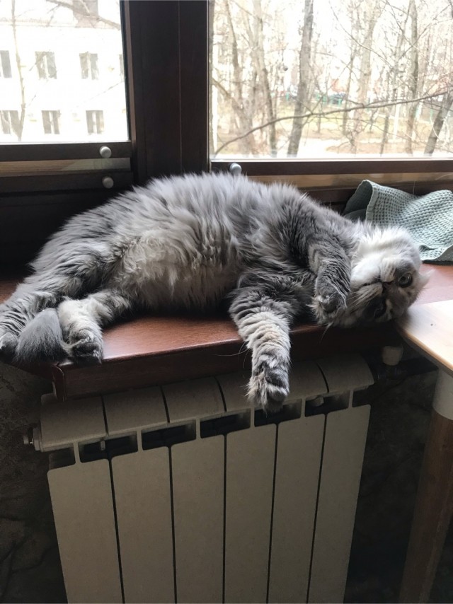 А что, уже вторник?