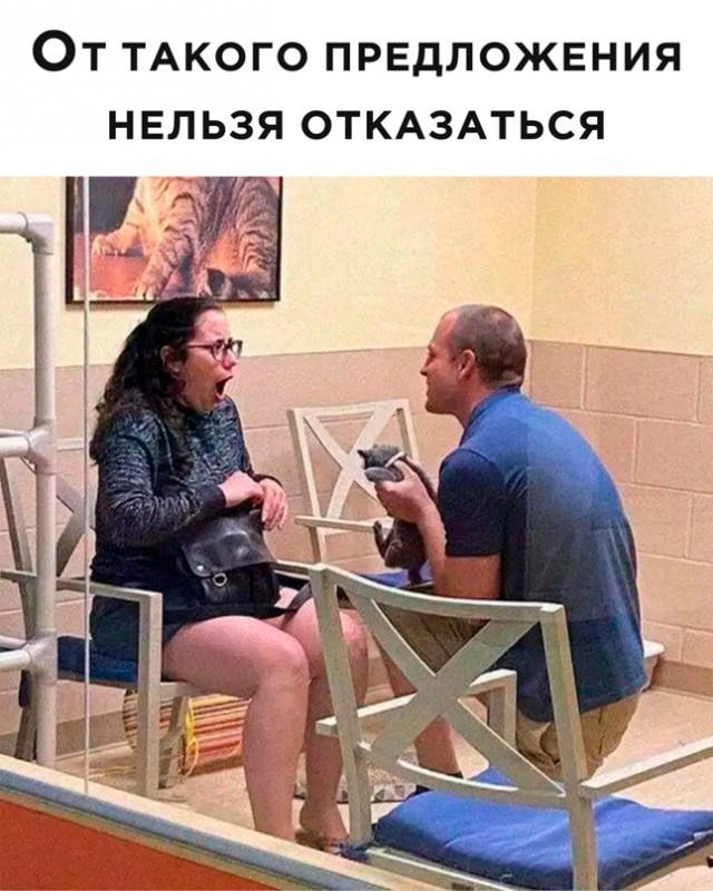 Картинки и мемы для настроения - 23