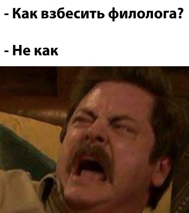 Весёлый полтишок 15.07.22