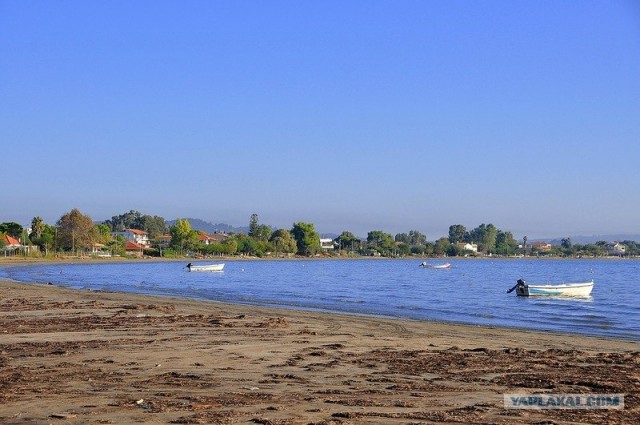 Любовь с первого взгляда