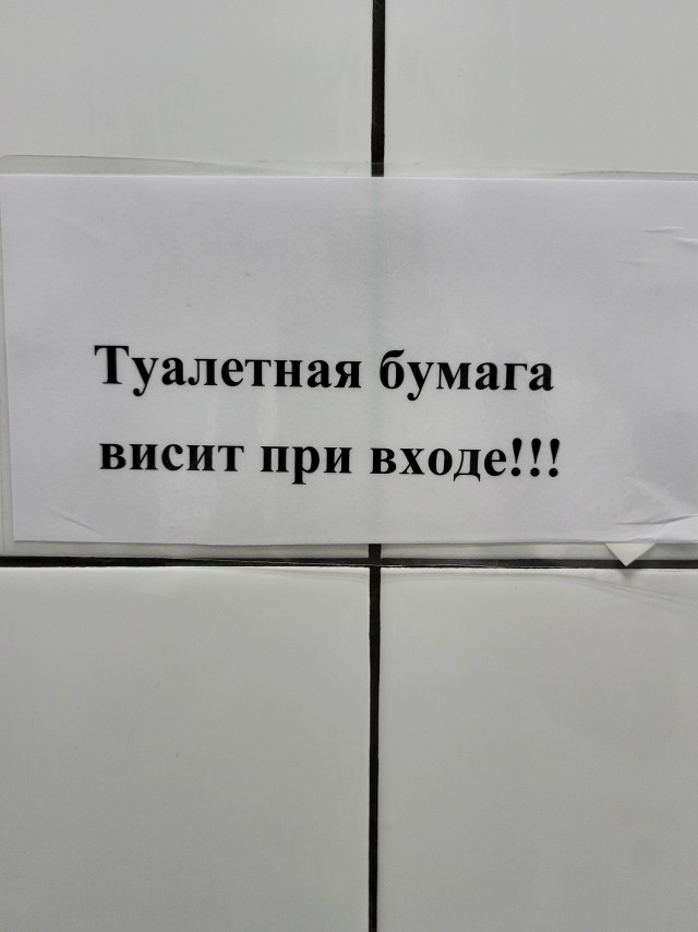 Какое последнее фото у вас в телефоне?