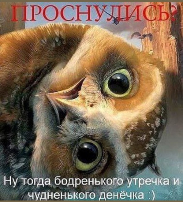 Почему жизнь с "пополамщицей" это дно!