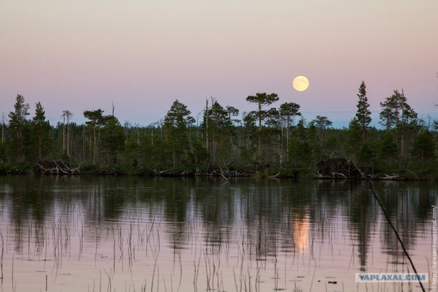 Водный поход по Карелии