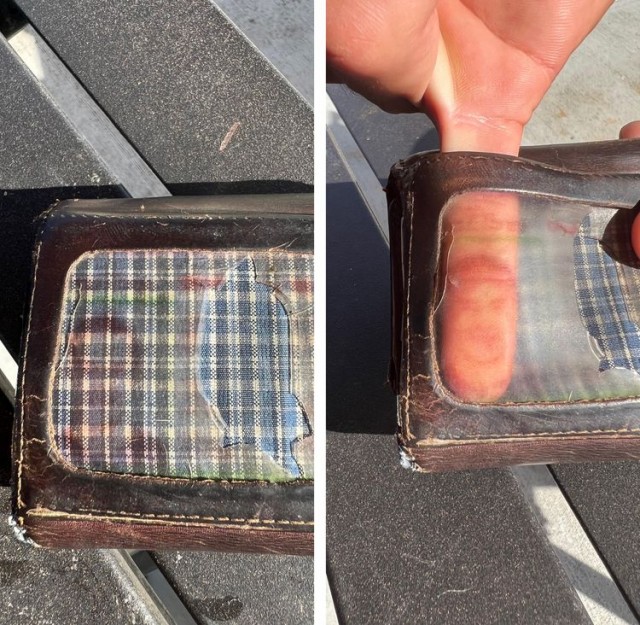 16 неожиданностей, которые преподнёс мир, доказав, что всё удивительное происходит у нас под носом