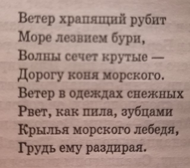 Модель драккара