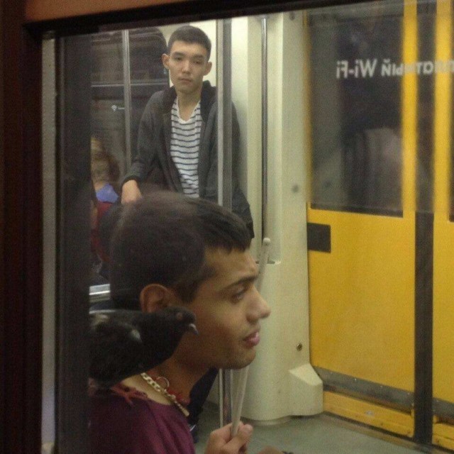 Просто фотографии