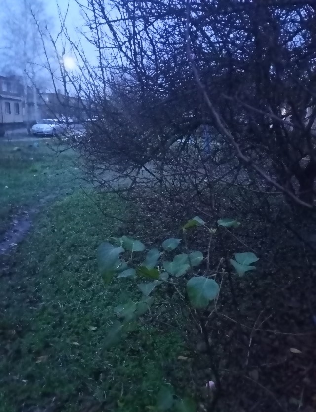 Давно вроде не было... А что у вас за окном
